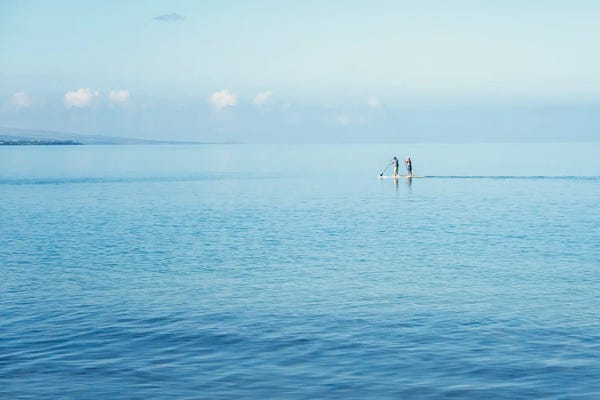 Monochromatic Photography: Surfboard Paddling by Dennis Frates