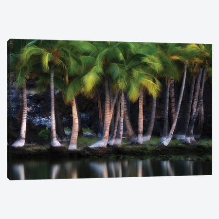 Palms Lakeside Canvas Print #DEN1584} by Dennis Frates Canvas Art Print