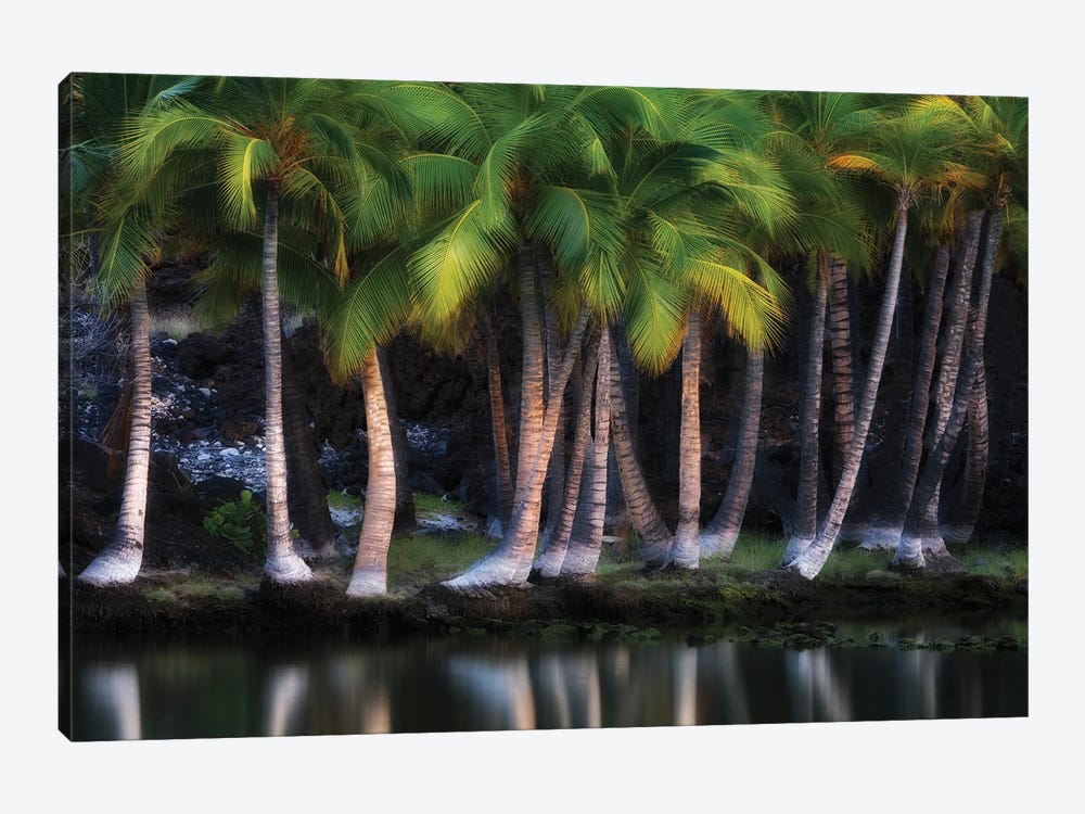Palms Lakeside by Dennis Frates 1-piece Canvas Art Print