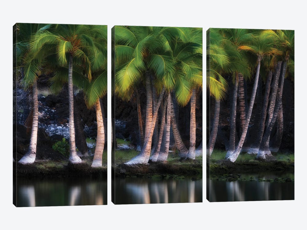 Palms Lakeside by Dennis Frates 3-piece Art Print