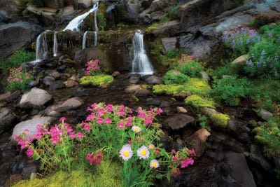 Intimate Creek by Dennis Frates canvas print