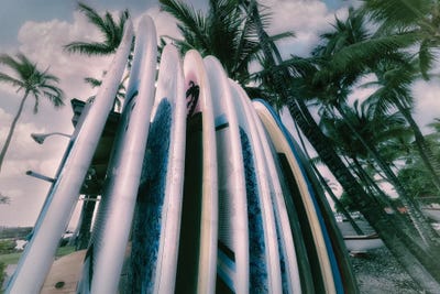 Nostalgic Surfboards by Dennis Frates canvas print