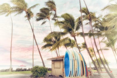 Nostalgic Surfboards II by Dennis Frates canvas print