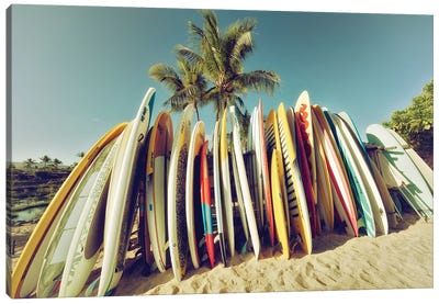 Nostalgic Surfboards III Canvas Art Print - Dennis Frates