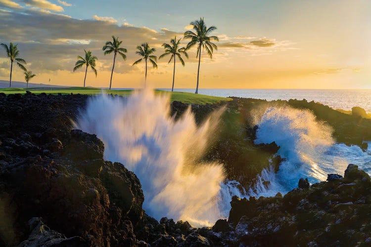 Waves And Palm Trees