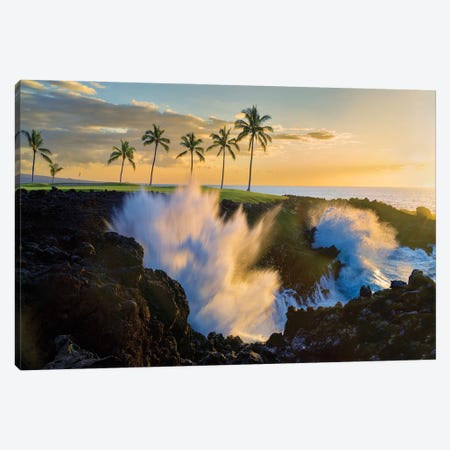 Waves And Palm Trees Canvas Print #DEN1598} by Dennis Frates Art Print