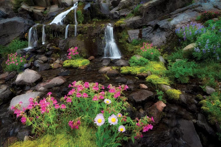 Intimate Creek by Dennis Frates wall art