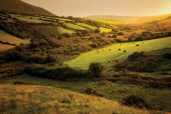 Ireland: Irish Hillside by Dennis Frates