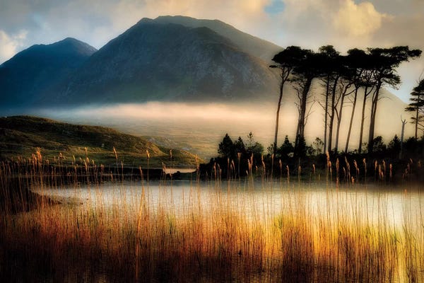 Ireland: Irish Pond by Dennis Frates