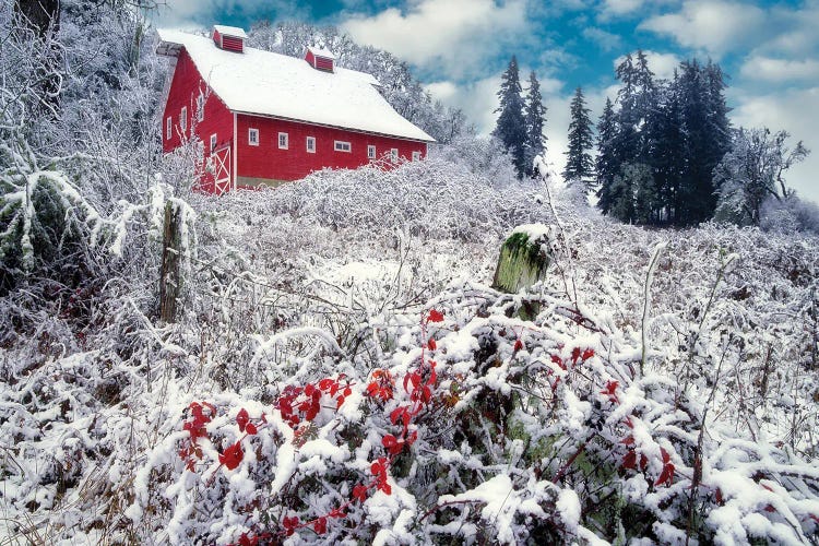 Winter Barn