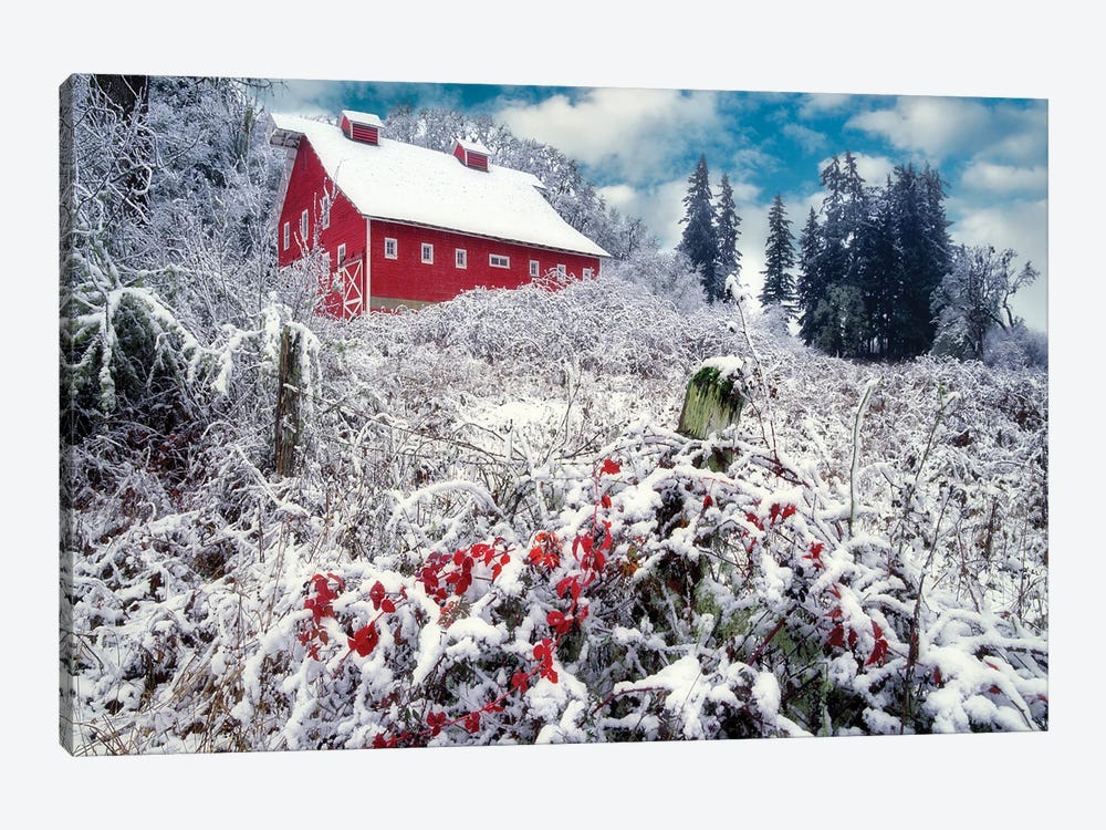 Winter Barn by Dennis Frates 1-piece Canvas Art