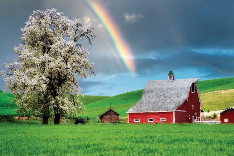 Rainbow Barn