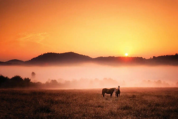 Farmland Sunrise