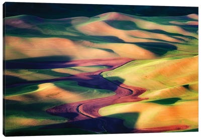 Palouse Morning Canvas Art Print - Abstracts in Nature