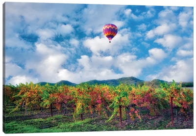 Autumn Vineyard And Balloon Canvas Art Print - Hot Air Balloon Art
