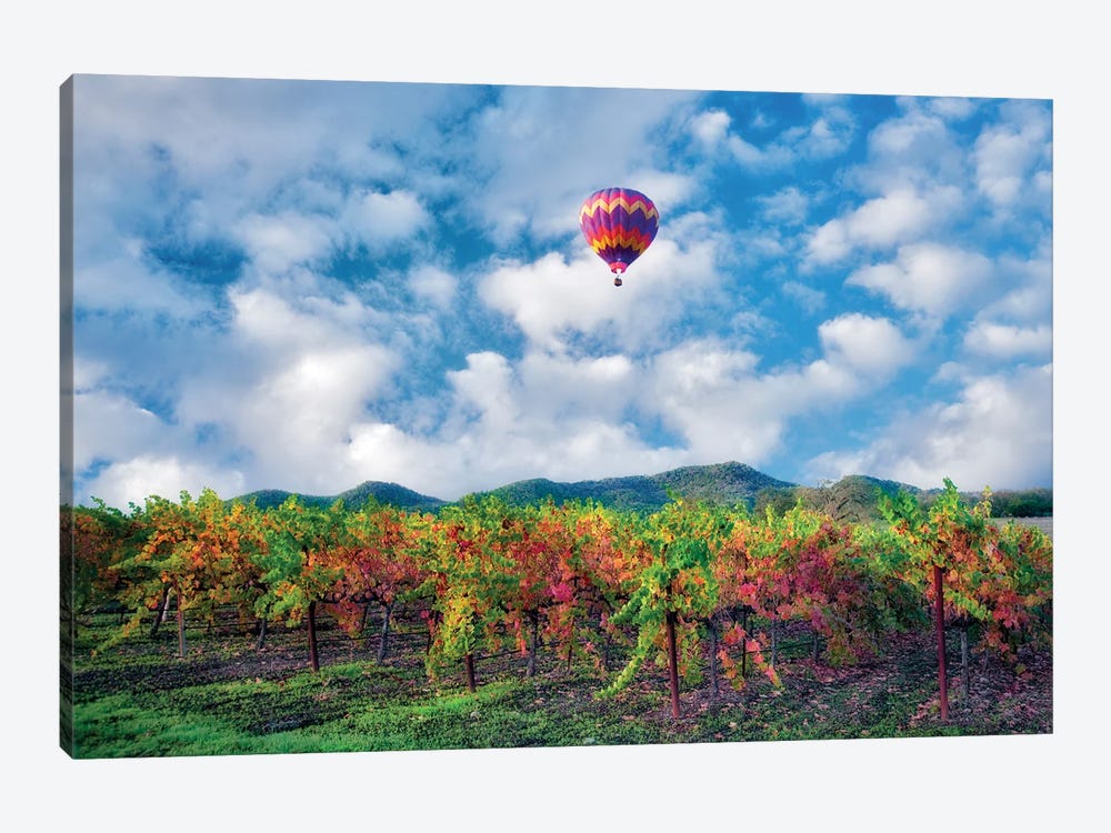 Autumn Vineyard And Balloon by Dennis Frates 1-piece Canvas Print