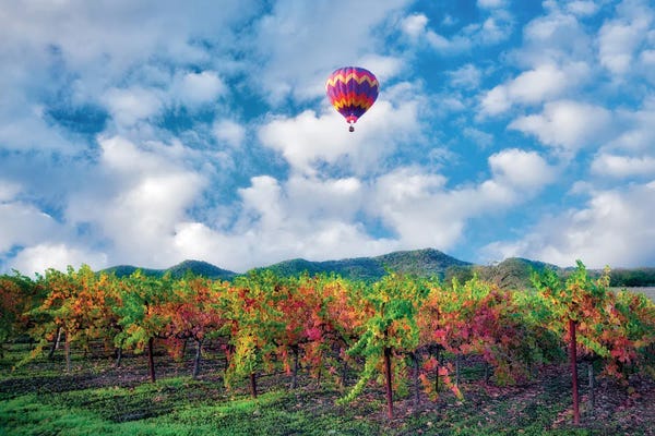 Vineyards: Autumn Vineyard And Balloon by Dennis Frates
