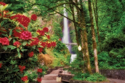 Multnomah Spring by Dennis Frates canvas print