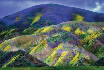 Carpeted Hills by Dennis Frates canvas print