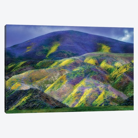 Carpeted Hills Canvas Print #DEN1659} by Dennis Frates Canvas Art