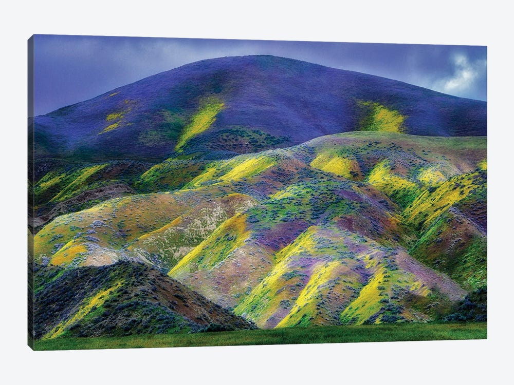 Carpeted Hills by Dennis Frates 1-piece Canvas Art Print