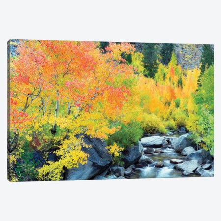 Sierra Autumn Canvas Print #DEN1664} by Dennis Frates Canvas Art