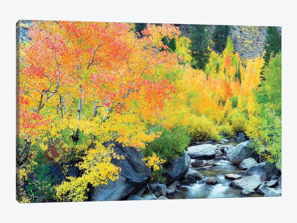 Sierra Autumn by Dennis Frates 1-piece Canvas Art Print