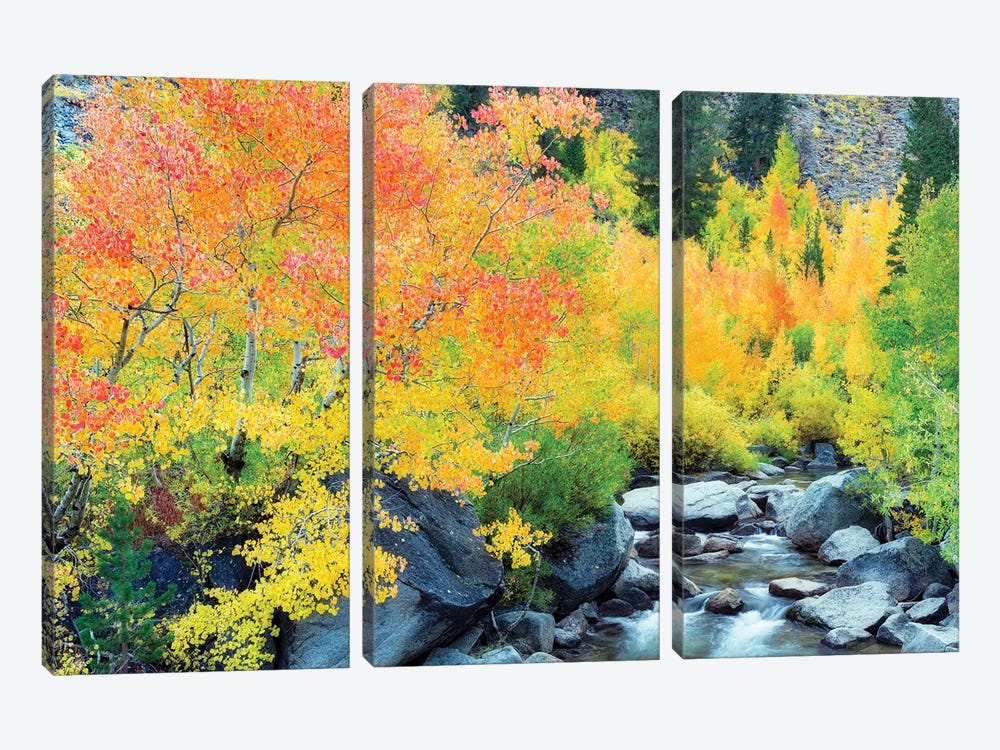 Sierra Autumn by Dennis Frates 3-piece Canvas Print
