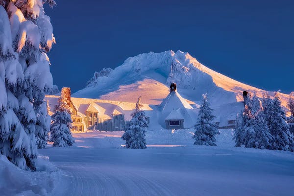 Snowscapes: Timberline Winter by Dennis Frates
