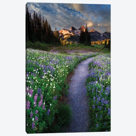 Path Wildflowers And Tattoosh Canvas Print #DEN1670} by Dennis Frates Canvas Art