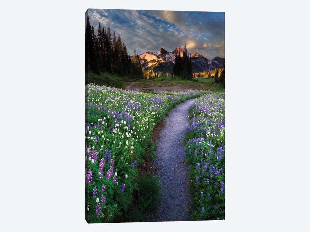 Path Wildflowers And Tattoosh by Dennis Frates 1-piece Canvas Wall Art