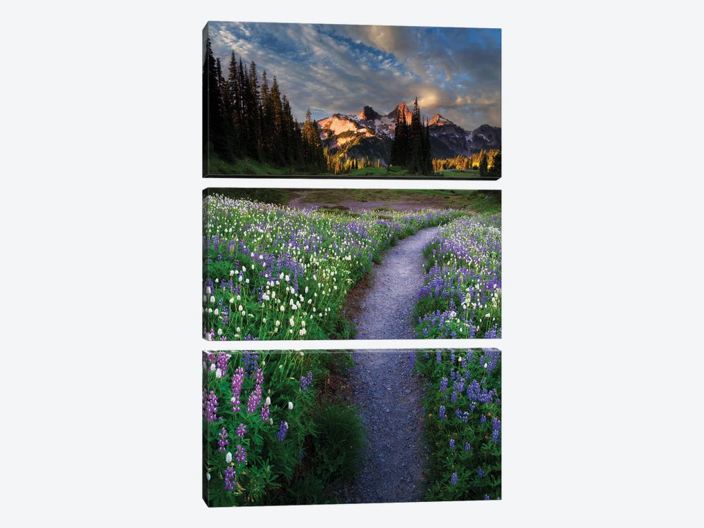 Path Wildflowers And Tattoosh by Dennis Frates 3-piece Canvas Art