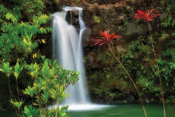 Waterfalls: Tropical Waterfalls by Dennis Frates