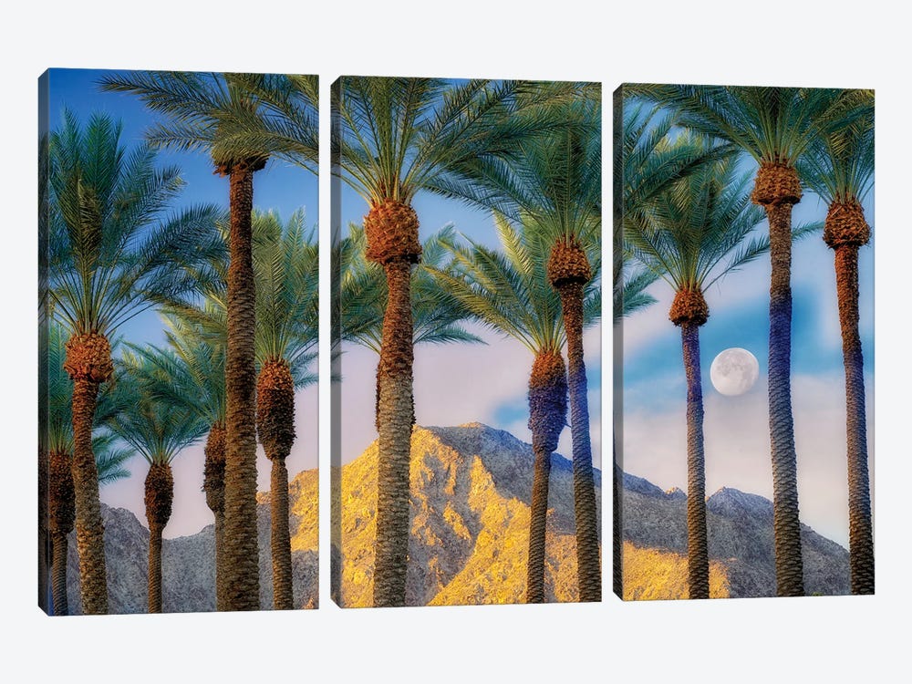 Palm Moonrise by Dennis Frates 3-piece Art Print