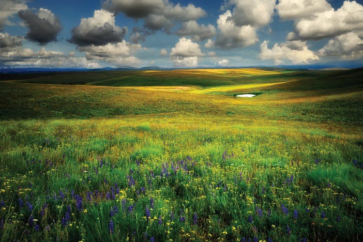 Historic Prairie