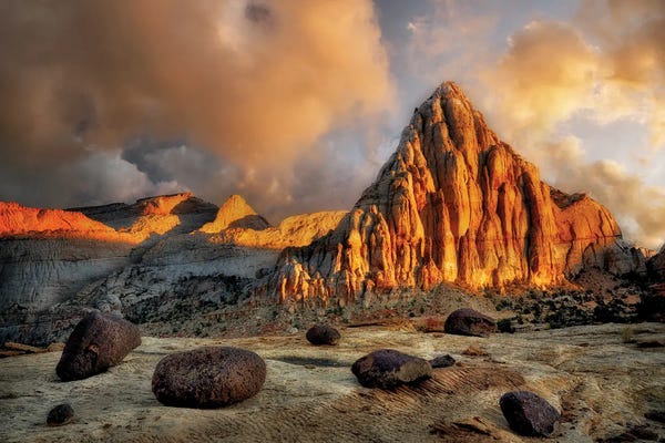 Desert Pinacle