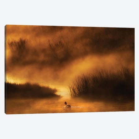 Yellowstone Duck Canvas Print #DEN1696} by Dennis Frates Canvas Print