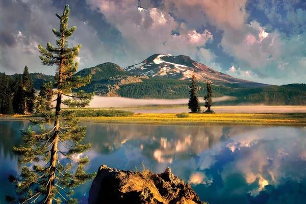 Evergreen Trees: Lake Sunrise by Dennis Frates