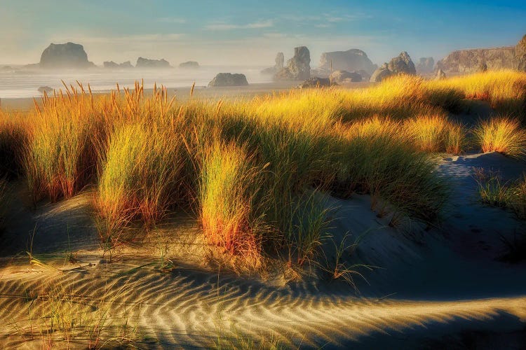 Coastal Dunes by Dennis Frates wall art