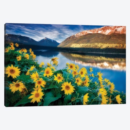 Lakeside Floral Canvas Print #DEN170} by Dennis Frates Canvas Wall Art