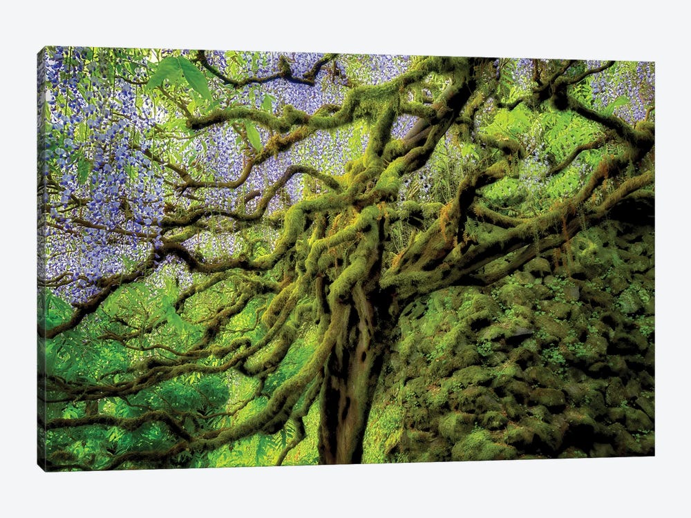 Floral Tree by Dennis Frates 1-piece Canvas Print