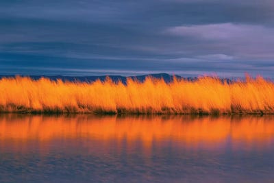 Last Light by Dennis Frates canvas print