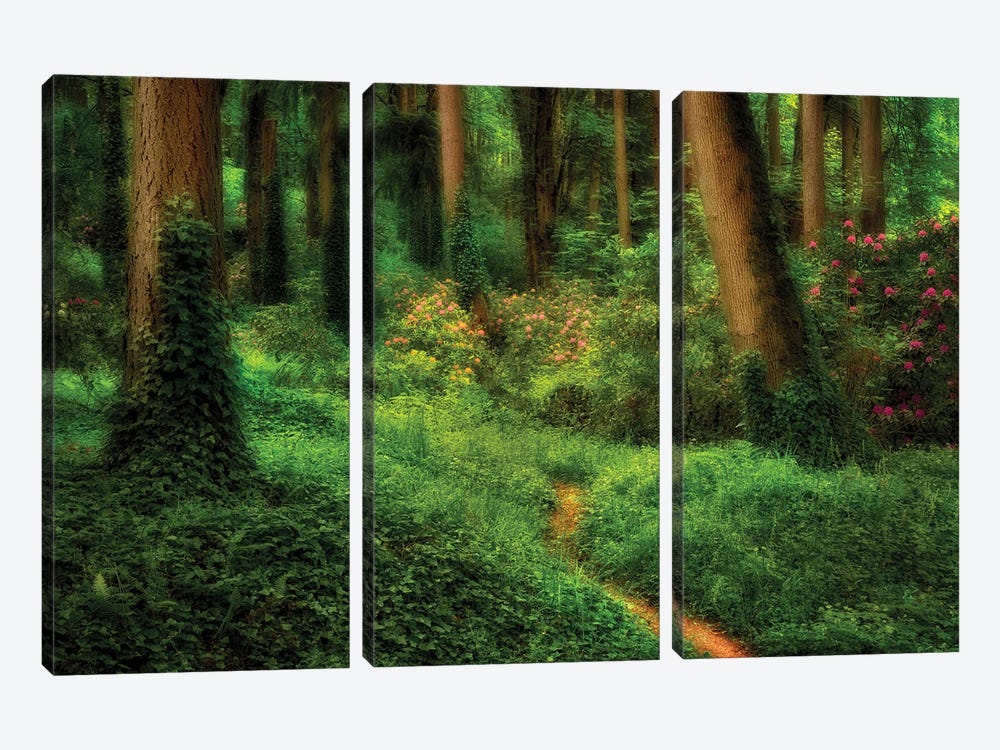 Forest Path by Dennis Frates 3-piece Canvas Art