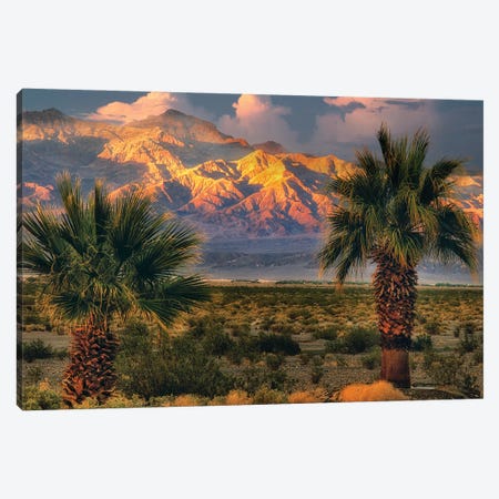 Palms At Death Valley Canvas Print #DEN1740} by Dennis Frates Canvas Art