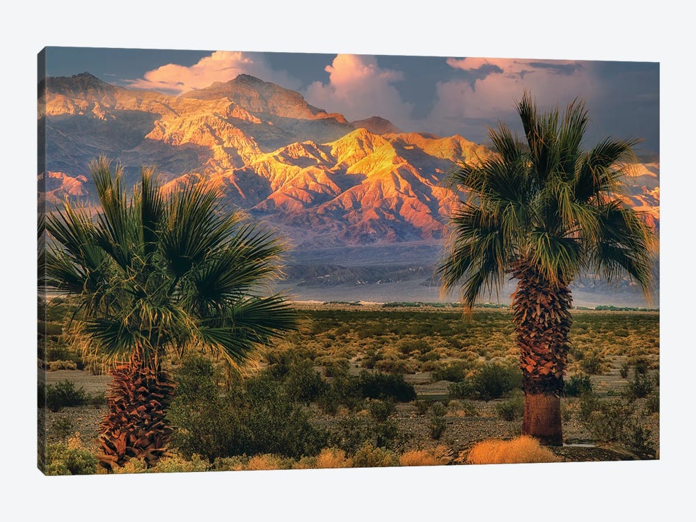 Palms At Death Valley by Dennis Frates 1-piece Canvas Art