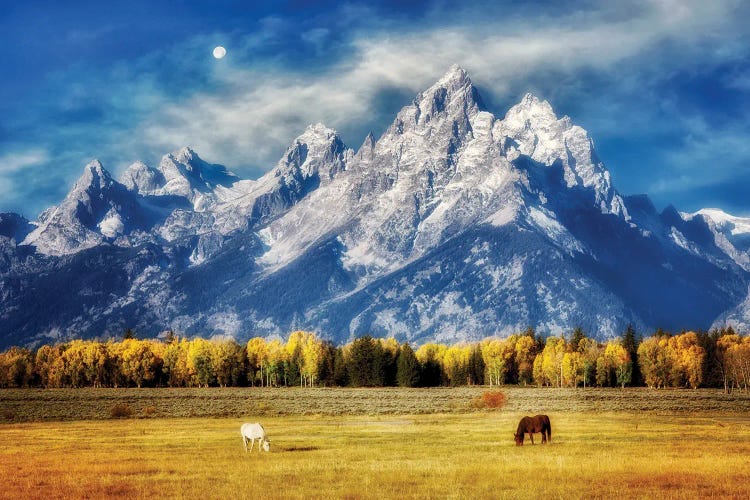 Tetón Moonrise And Horses