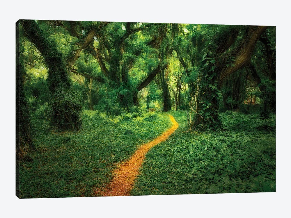 Tropical Trail by Dennis Frates 1-piece Art Print