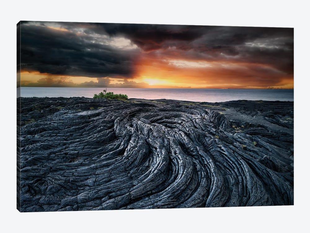 Lava Swirl by Dennis Frates 1-piece Canvas Artwork