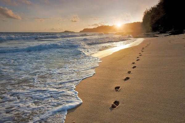 Morning Beach Walk