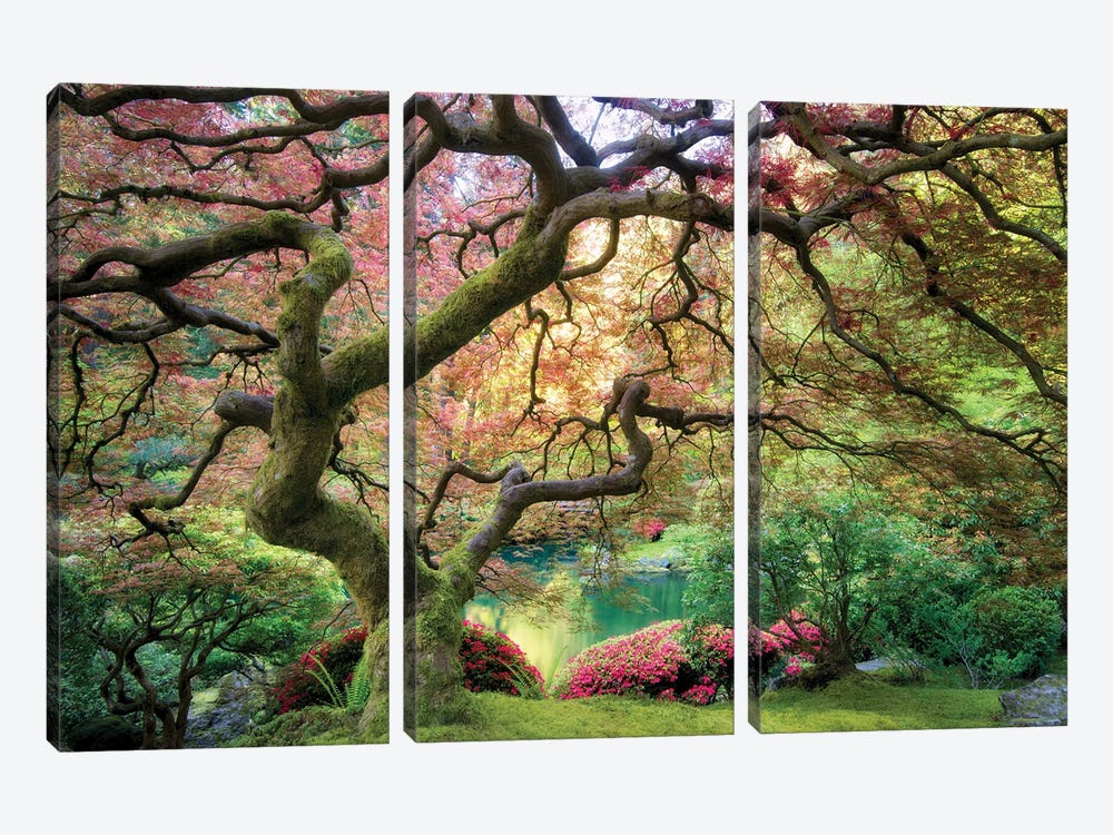 Japanese Maple Autumn by Dennis Frates 3-piece Canvas Artwork